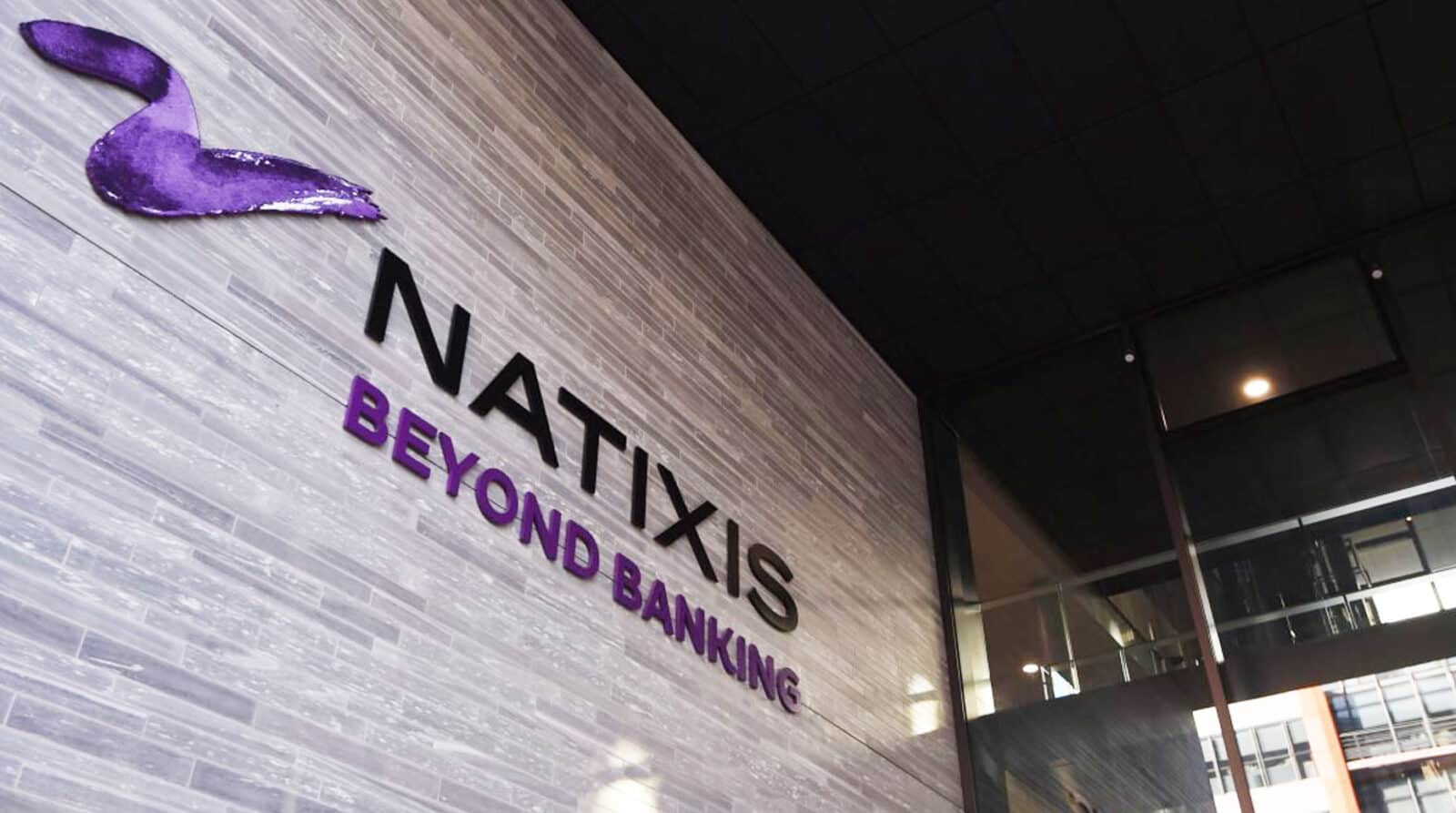 Assurance vie Natixis